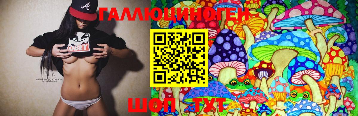 Кушва  что такое наркотик  Псилоцибиновые грибы Psilocybe  Вход с VPN  Галлюциногенные грибы Psilocybine cubensis 